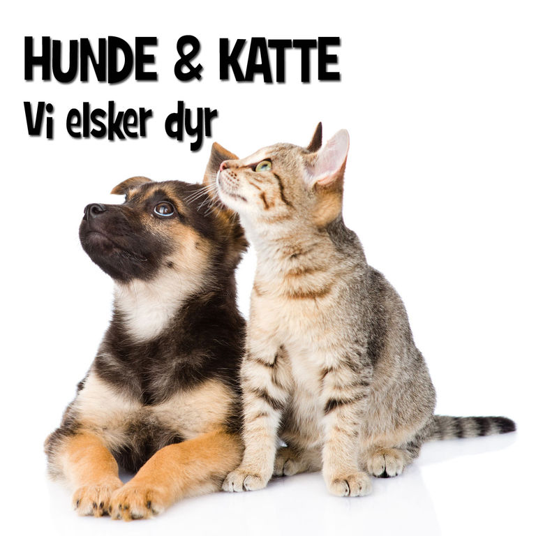 Logo_til_Hunde_og_Katte-big.jpg